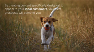 Relevant_content_acts_as_a_magnet_HubSpot